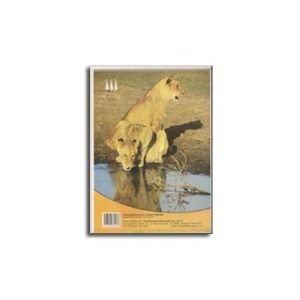 Block tamaño carta Republica cuadro chico 80 hojas