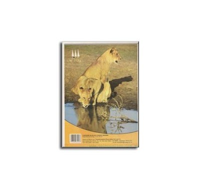 Block tamaño carta Republica cuadro chico 80 hojas